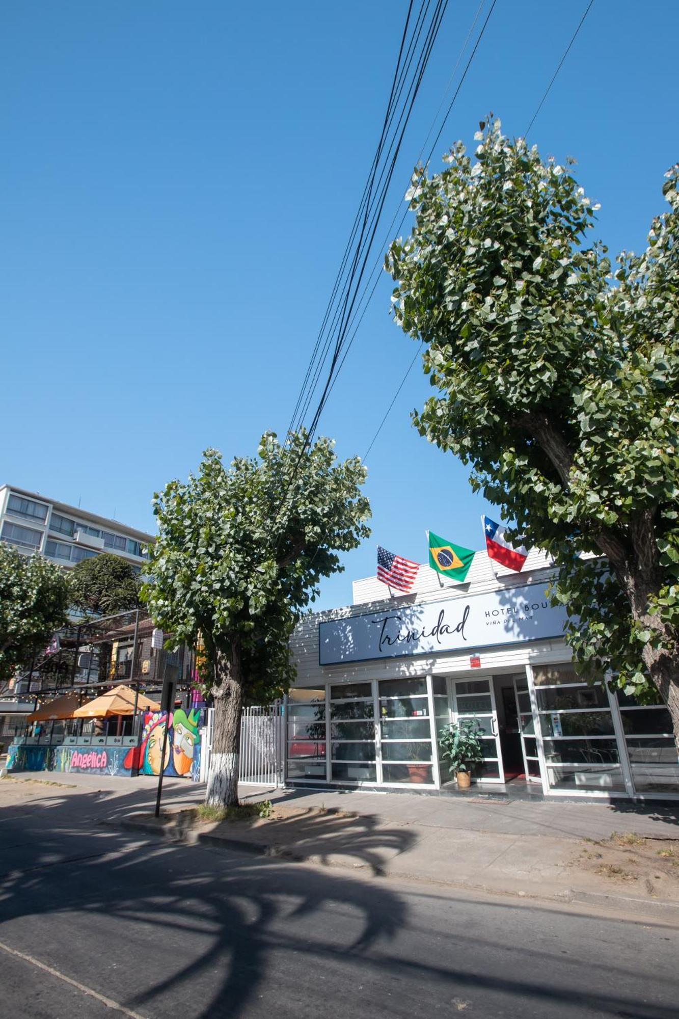 Hotel Boutique Trinidad Βίνα Ντελ Μαρ Εξωτερικό φωτογραφία